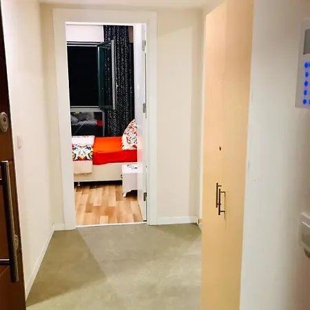 1+1 For Rent